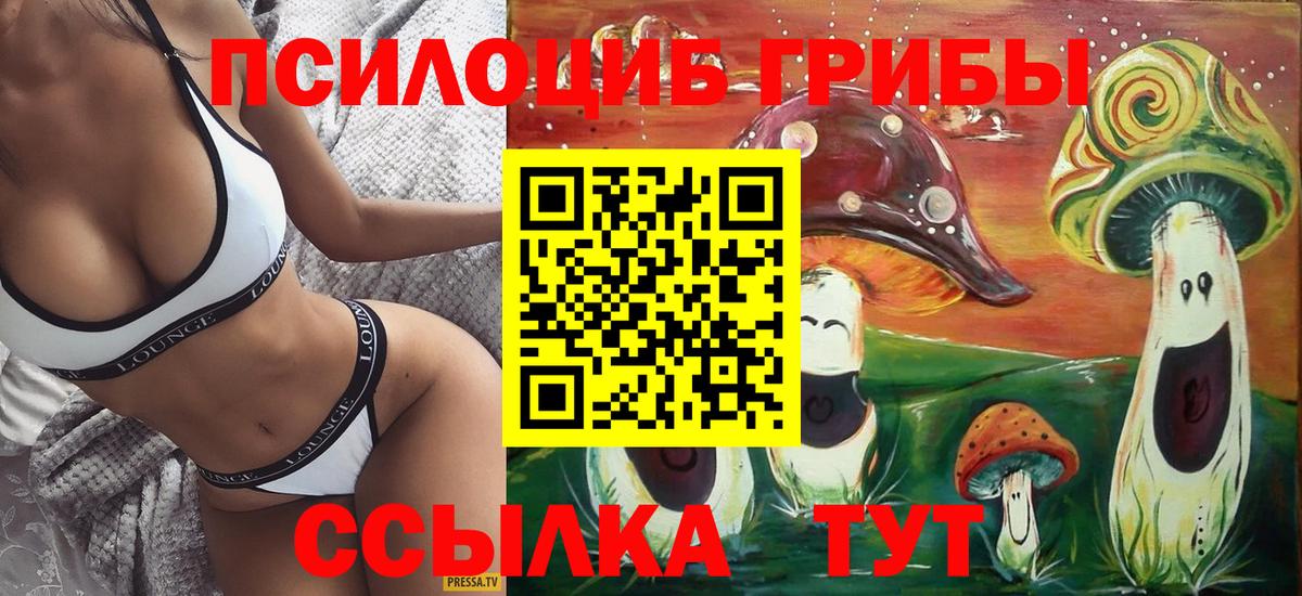 Псилоцибиновые грибы ЛСД  Псилоцибиновые грибы мицелий  Вход с VPN  Нефтекумск 