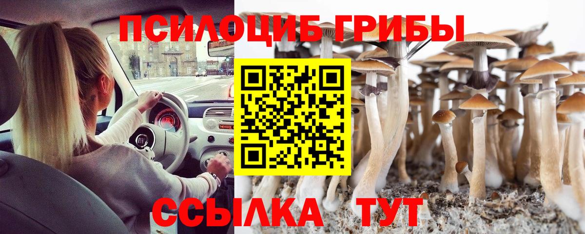Галлюциногенные грибы Magic Shrooms Нефтекумск